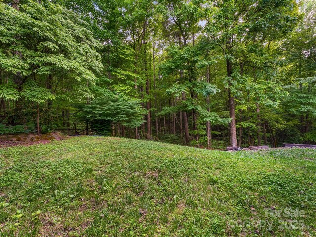 100 Tarragon Pl, Flat Rock, NC 28731 - view of yard with a view of trees