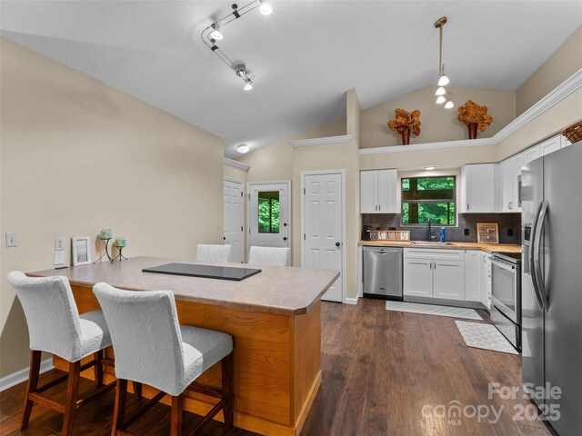 100 Tarragon Pl, Flat Rock, NC 28731 - kitchen featuring stainless steel appliances, a peninsula, a sink, light countertops, and lofted ceiling