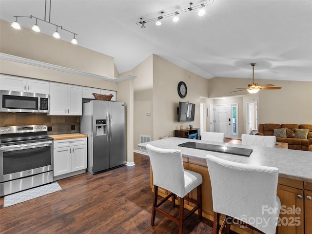 100 Tarragon Pl, Flat Rock, NC 28731 - kitchen featuring stainless steel appliances, lofted ceiling, open floor plan, dark wood-type flooring, and white cabinets