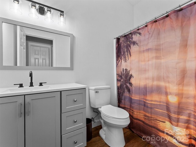 100 Tarragon Pl, Flat Rock, NC 28731 - bathroom with vanity, toilet, wood finished floors, and curtained shower