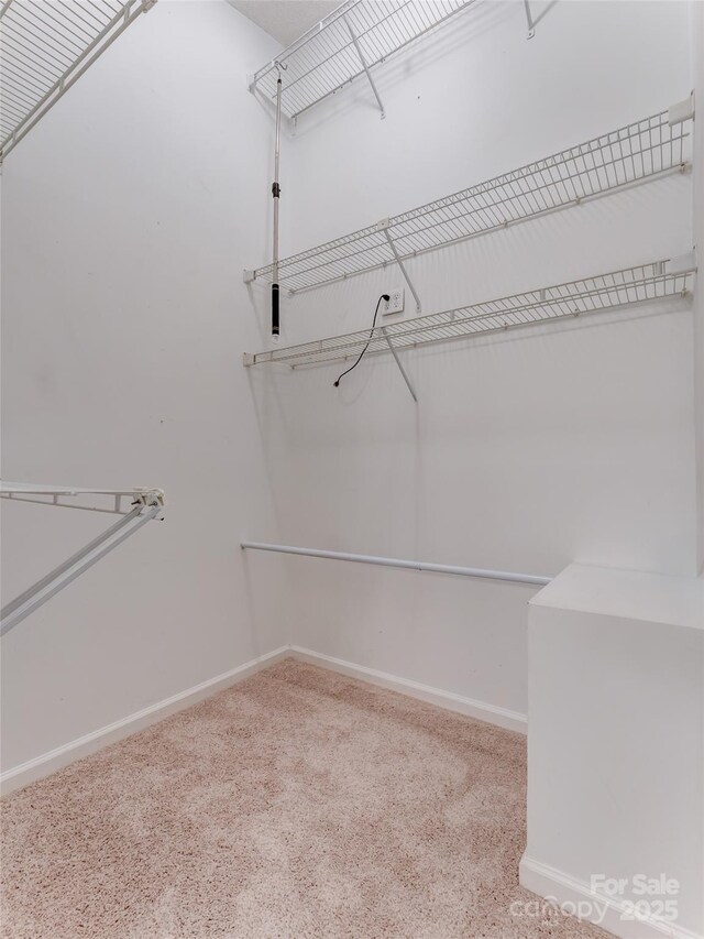 100 Tarragon Pl, Flat Rock, NC 28731 - spacious closet with carpet flooring