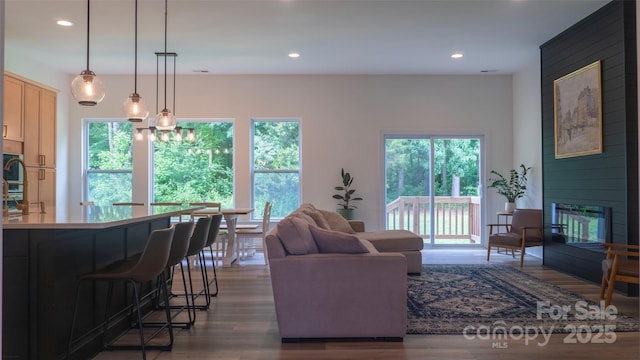 4710 Old Pageland Marshville Rd, Monroe, NC 28112 - living area featuring wood finished floors and recessed lighting