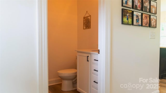 4710 Old Pageland Marshville Rd, Monroe, NC 28112 - bathroom featuring toilet, vanity, and wood finished floors