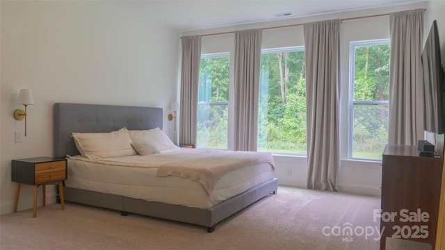 4710 Old Pageland Marshville Rd, Monroe, NC 28112 - bedroom with carpet flooring and baseboards