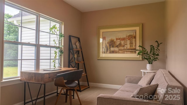 4710 Old Pageland Marshville Rd, Monroe, NC 28112 - carpeted office space featuring baseboards
