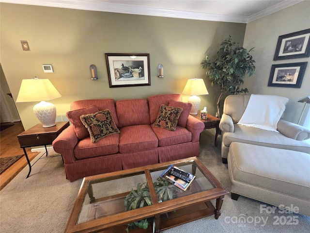 105 Bent Creek Blvd Unit 16, Lake Lure, NC 28746 - carpeted living room with crown molding