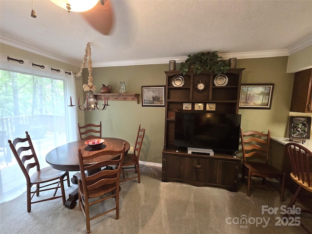 105 Bent Creek Blvd Unit 16, Lake Lure, NC 28746 - dining space with carpet flooring, ornamental molding, and a textured ceiling