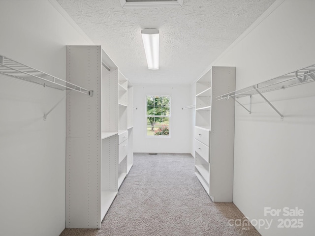 714 Helms Efird Rd, Marshville, NC 28103 - walk in closet featuring light colored carpet