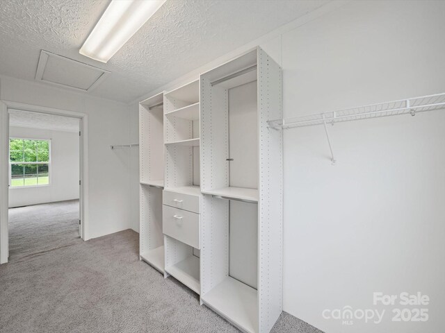 714 Helms Efird Rd, Marshville, NC 28103 - spacious closet featuring light colored carpet and attic access