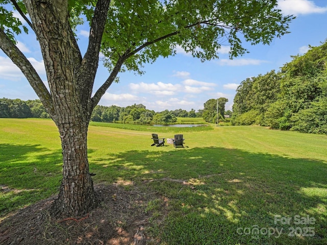 714 Helms Efird Rd, Marshville, NC 28103 - surrounding community with a lawn and a water view