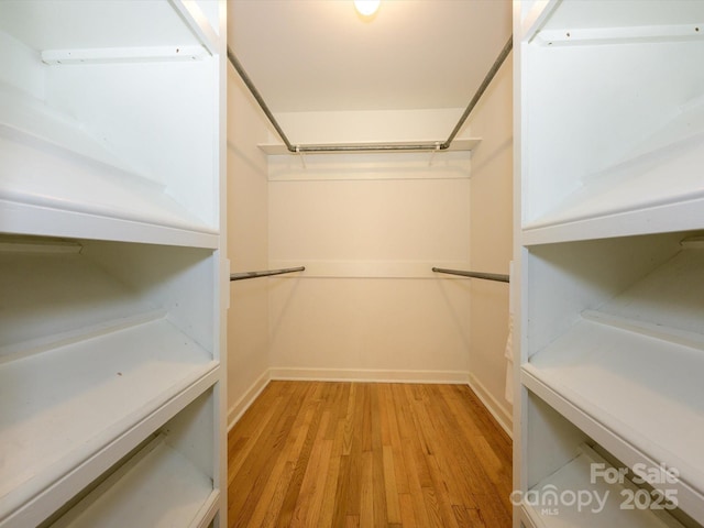 7356 Terrace Dr, Charlotte, NC 28211 - walk in closet with light wood-type flooring