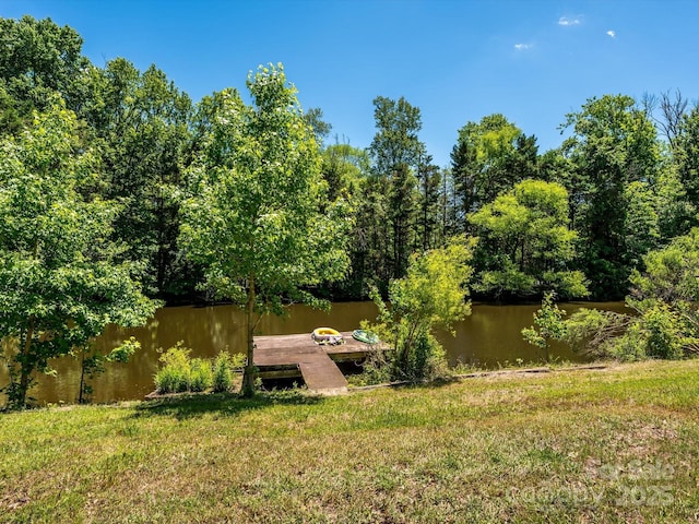 7356 Terrace Dr, Charlotte, NC 28211 - dock with a water view, a lawn, and a view of trees