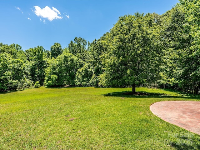 7356 Terrace Dr, Charlotte, NC 28211 - view of green lawn
