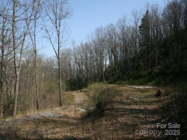 99999 Long Branch Rd Unit 1 & 2, Swannanoa, NC 28778