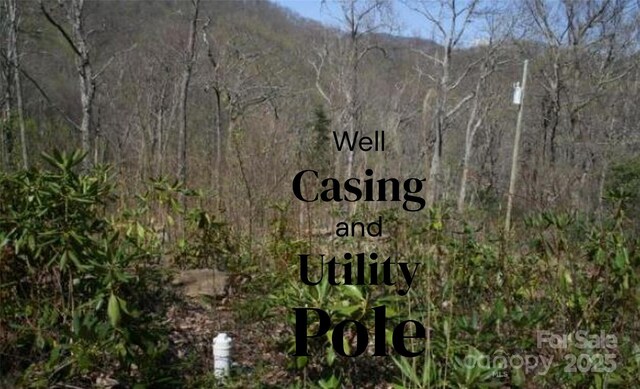 99999 Long Branch Rd Unit 1 & 2, Swannanoa, NC 28778