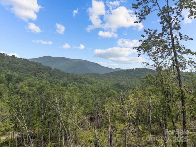 99999 Long Branch Rd Unit 1 & 2, Swannanoa, NC 28778