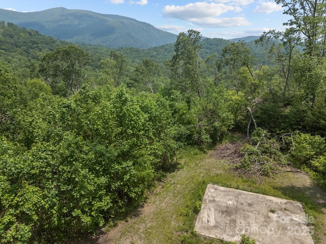99999 Long Branch Rd Unit 1 & 2, Swannanoa, NC 28778
