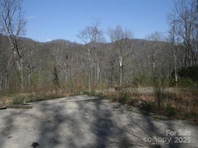 99999 Long Branch Rd Unit 1 & 2, Swannanoa, NC 28778