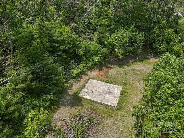 99999 Long Branch Rd Unit 1 & 2, Swannanoa, NC 28778