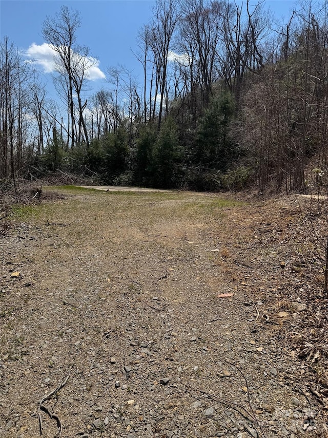 99999 Long Branch Rd Unit 1 & 2, Swannanoa, NC 28778