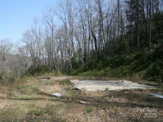99999 Long Branch Rd Unit 1 & 2, Swannanoa, NC 28778