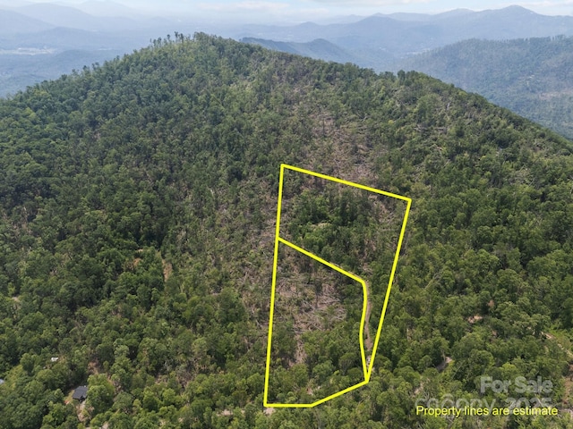 99999 Long Branch Rd Unit 1 & 2, Swannanoa, NC 28778