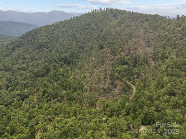 99999 Long Branch Rd Unit 1 & 2, Swannanoa, NC 28778