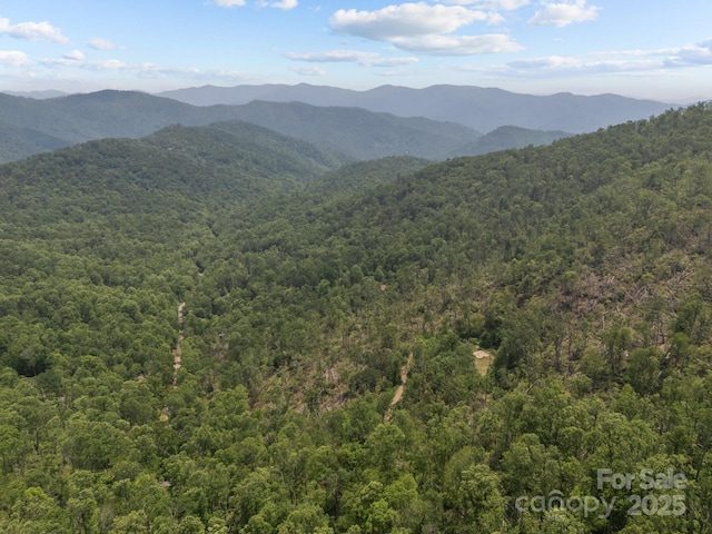 99999 Long Branch Rd Unit 1 & 2, Swannanoa, NC 28778