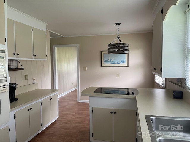114 Aqua Dr, Forest City, NC 28043 - kitchen featuring dark wood finished floors, light countertops, ornamental molding, pendant lighting, and a peninsula