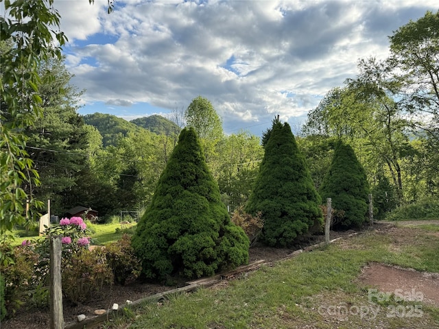 103 Hampshire Ln, Canton, NC 28716 - view of yard with a wooded view