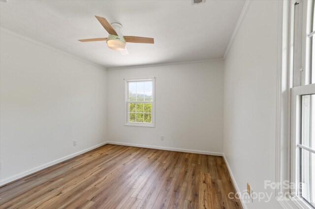 103 Hampshire Ln, Canton, NC 28716 - empty room with ornamental molding, wood-type flooring, baseboards, and a ceiling fan