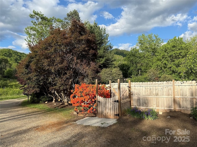 103 Hampshire Ln, Canton, NC 28716 - view of gate