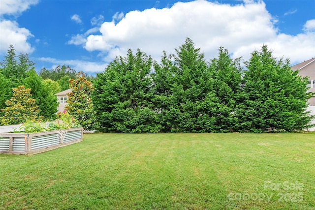 85017 Newloch Ct, Lancaster, SC 29720 - view of grassy yard with a vegetable garden