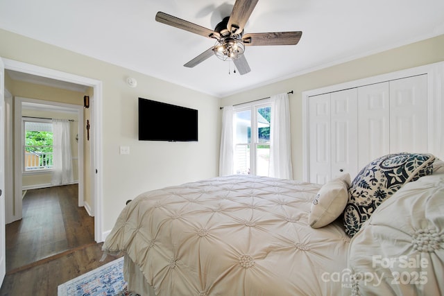2248 White Heron Rd, Liberty Hill, SC 29074 - bedroom featuring multiple windows, a closet, dark wood-style flooring, a ceiling fan, and crown molding