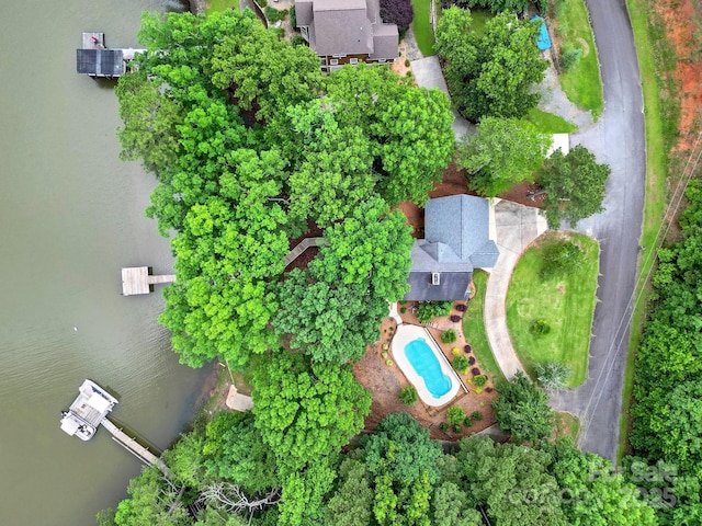 2248 White Heron Rd, Liberty Hill, SC 29074 - bird's eye view of a pool area