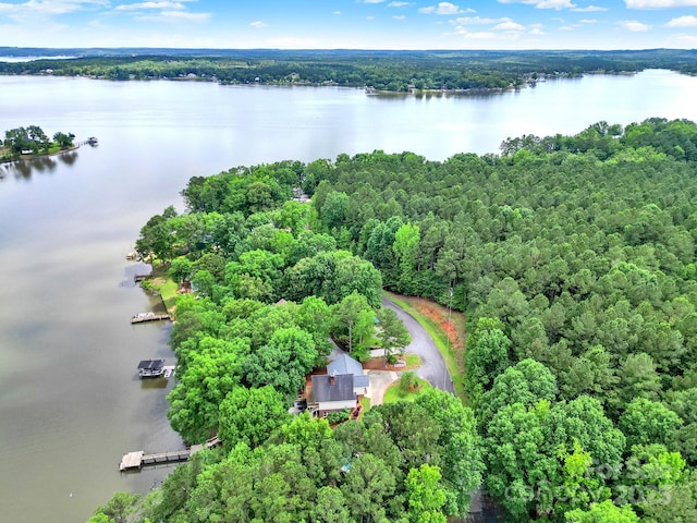 2248 White Heron Rd, Liberty Hill, SC 29074 - drone / aerial view of a large body of water and a forest