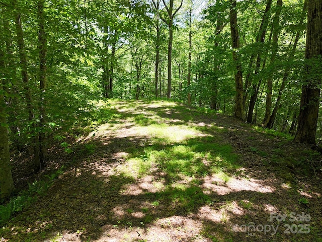 0 Elkhorn Ridge Dr Unit 46, Franklin, NC 28734