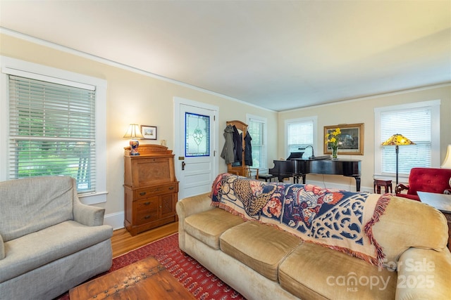 108 Connally St, Black Mountain, NC 28711 - living room featuring wood finished floors, crown molding, and plenty of natural light