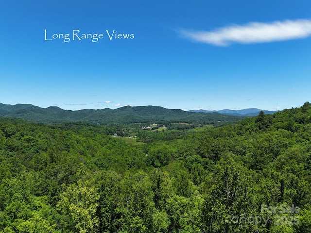 0 Elkhorn Ridge Dr Unit 87, Franklin, NC 28734