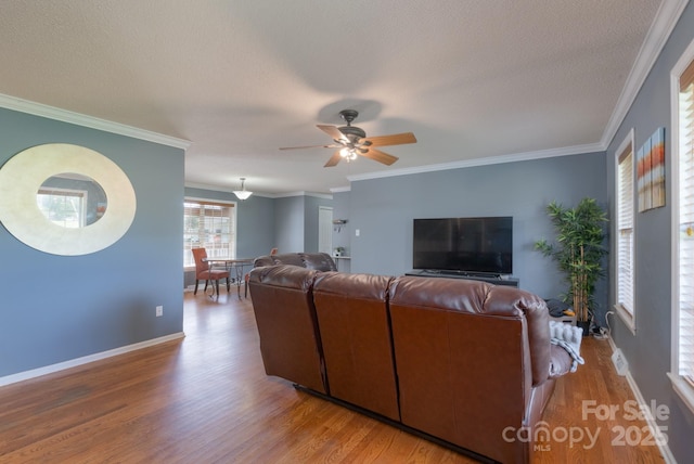 500 Belleview Rd, Rock Hill, SC 29730 - living area featuring wood finished floors, ceiling fan, baseboards, ornamental molding, and a textured ceiling