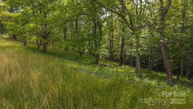 559 Mouth Of Silas Creek Rd, Lansing, NC 28643 - view of wooded area