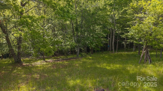 559 Mouth Of Silas Creek Rd, Lansing, NC 28643 - view of woods