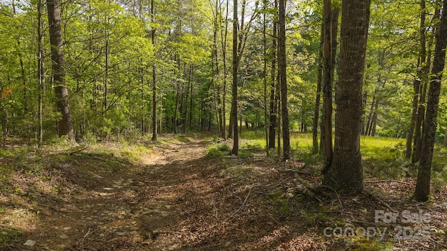 559 Mouth Of Silas Creek Rd, Lansing, NC 28643 - view of woods