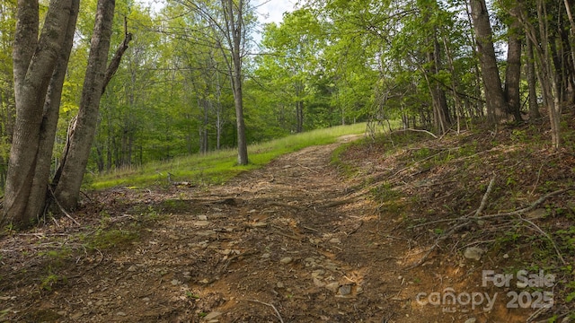 559 Mouth Of Silas Creek Rd, Lansing, NC 28643 - view of tree filled area