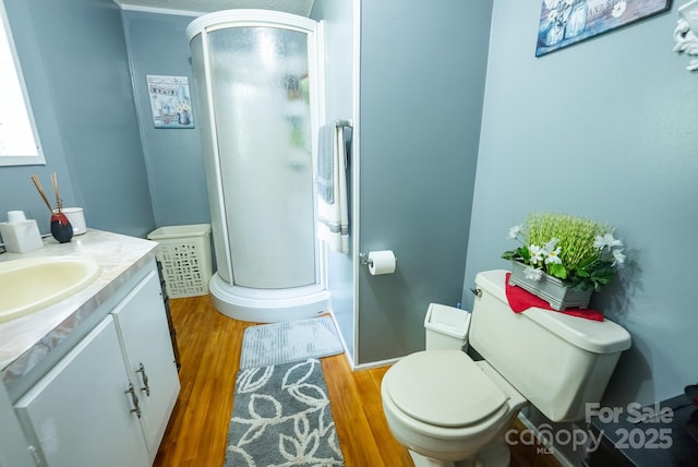 559 Mouth Of Silas Creek Rd, Lansing, NC 28643 - bathroom featuring wood finished floors, a shower stall, toilet, and vanity