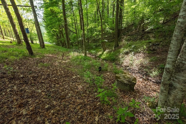 559 Mouth Of Silas Creek Rd, Lansing, NC 28643 - view of wooded area