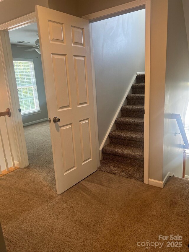 2567 Holly Oak Ln, Gastonia, NC 28056 - photo 31