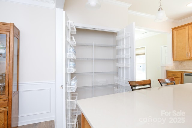 238 Cherrytree Dr, Fort Mill, SC 29715 - view of pantry