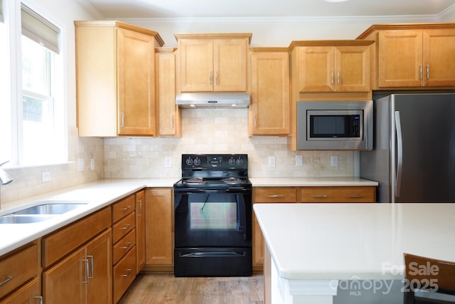238 Cherrytree Dr, Fort Mill, SC 29715 - kitchen featuring stainless steel appliances, under cabinet range hood, healthy amount of natural light, light countertops, and crown molding