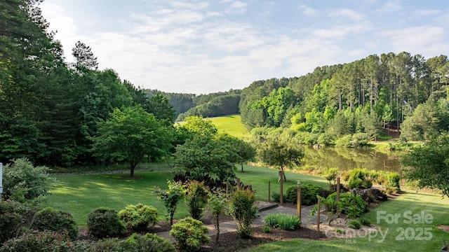 5487 Back Shore Dr, Granite Falls, NC 28630 - view of community featuring a yard and a forest view